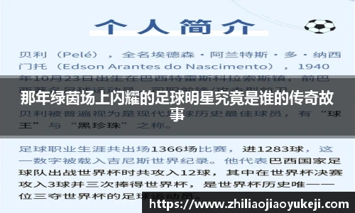 那年绿茵场上闪耀的足球明星究竟是谁的传奇故事