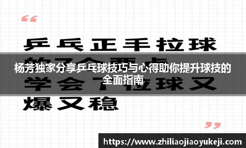 杨芳独家分享乒乓球技巧与心得助你提升球技的全面指南